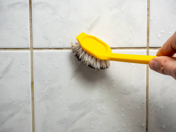Professional Mold Removal in Lone Pine, CA