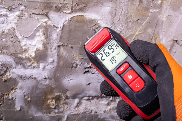 Best Home Mold Removal  in Lone Pine, CA