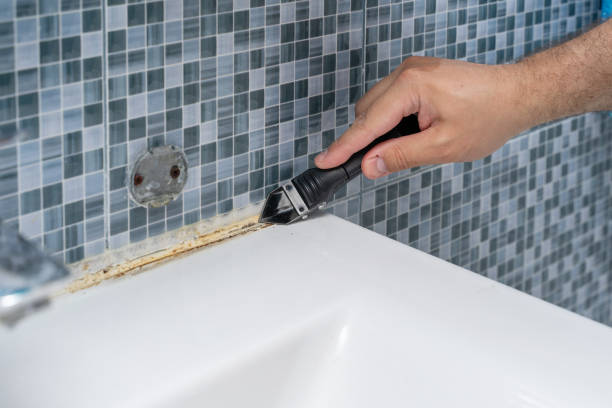 Best Office Mold Removal Services  in Lone Pine, CA